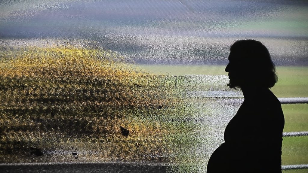 A side silhouette of a pregnant woman in front of a glitched landscape